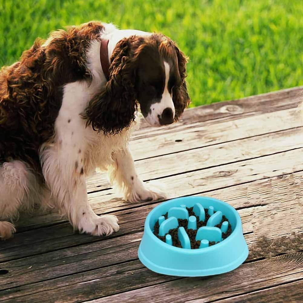 Pet Slow Feeder Bowl