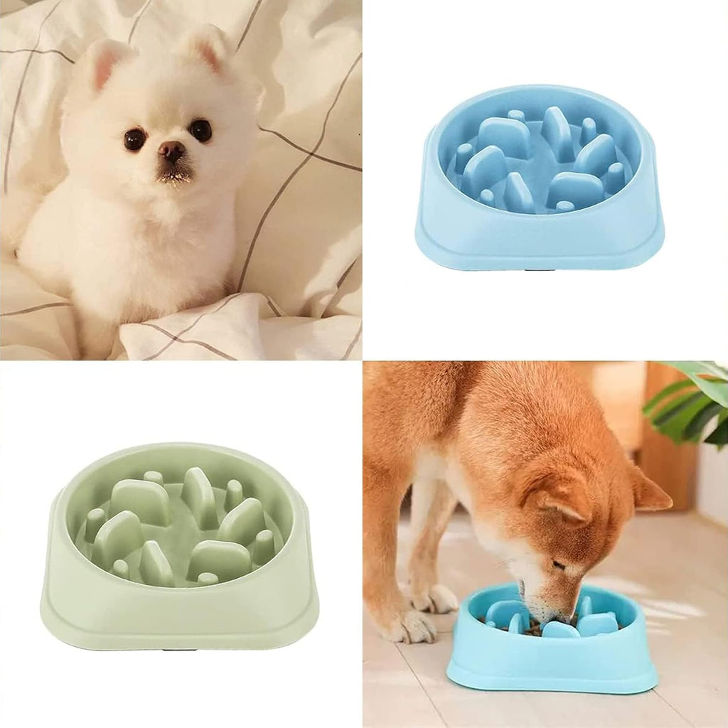Pet Slow Feeder Bowl