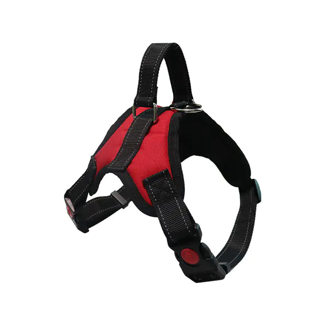 Adjustable Dog Harness