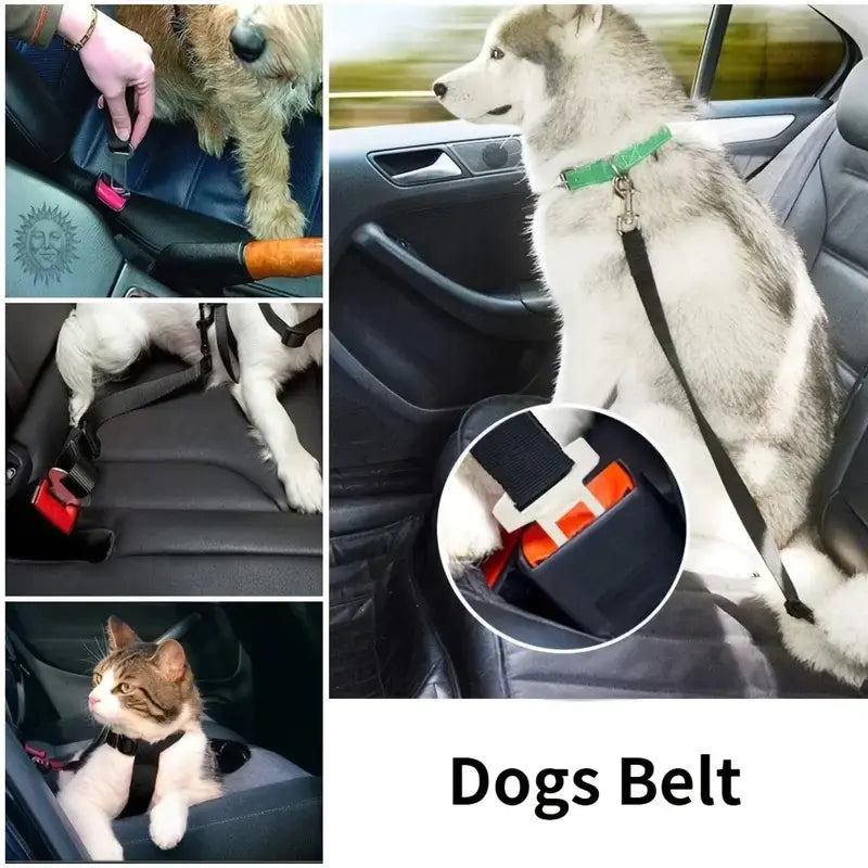 Pet  Car Seat Belt