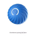 Pet Dog Rubber Ball Toy
