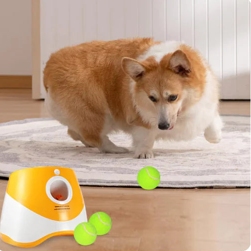 Automatic Pet Ball Launcher