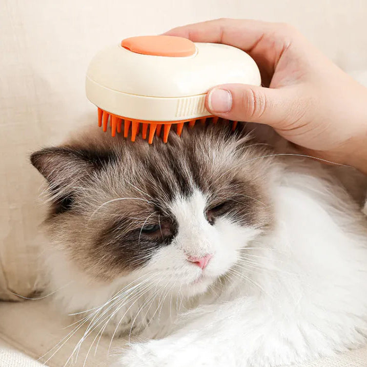 Pet Steam Brush