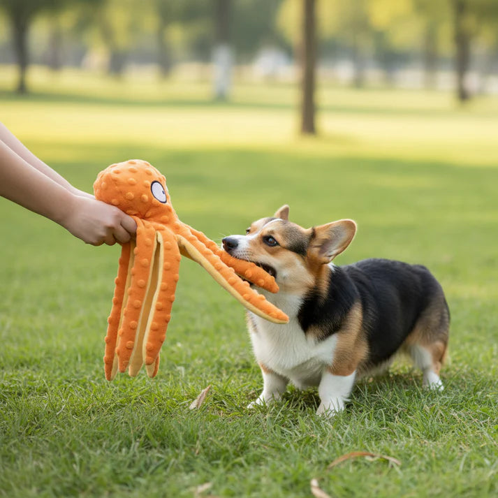 Octopus Plush Pet Toy