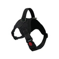 Adjustable Dog Harness