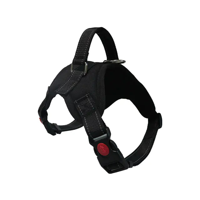 Adjustable Dog Harness